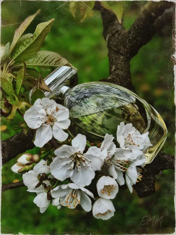 عطر ادکلن کلوین کلین(سی کی) بیوتی | Calvin Klein Beauty