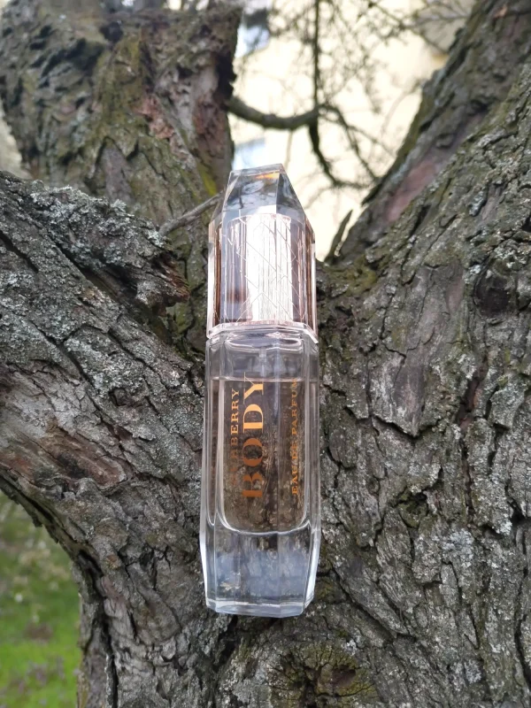عطر ادکلن باربری بادی زنانه | Burberry Body