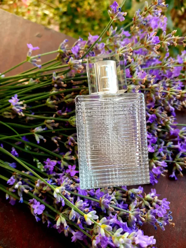 عطر ادکلن باربری بریت ریتم زنانه | Burberry Brit Rhythm for Women