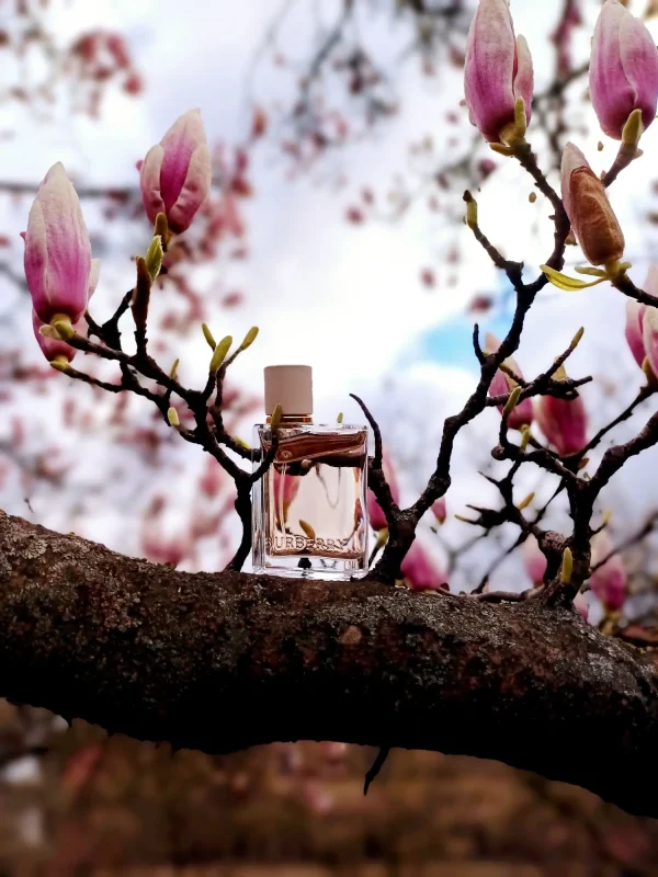عطر ادکلن باربری هر ادوپرفیوم زنانه | Burberry Her