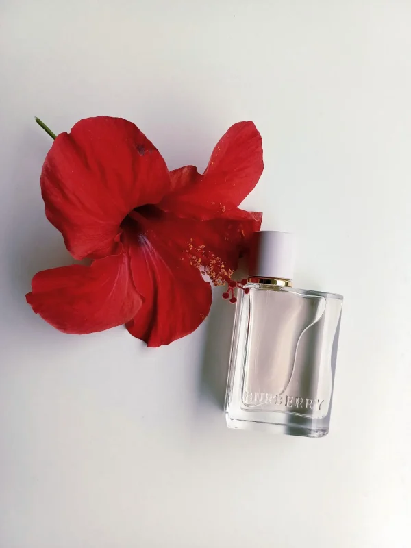 عطر ادکلن باربری هر ادوپرفیوم زنانه | Burberry Her