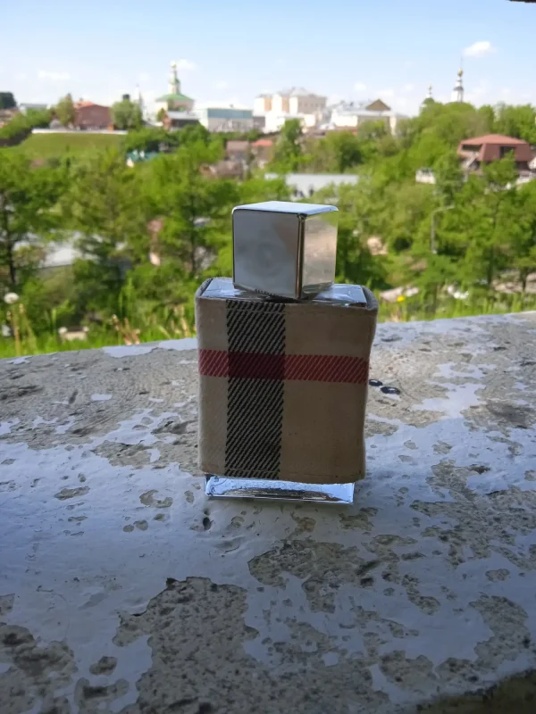 عطر ادکلن باربری لندن زنانه | Burberry London