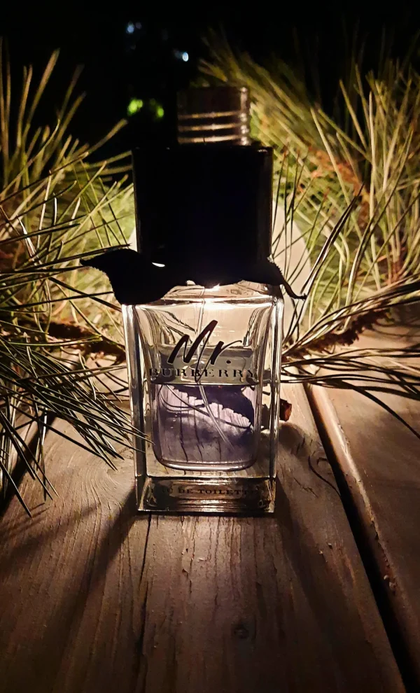 عطر ادکلن باربری مستر باربری | Burberry Mr. Burberry