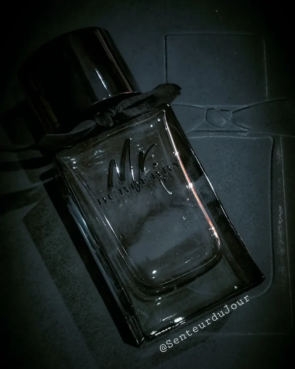 عطر ادکلن باربری مستر باربری | Burberry Mr. Burberry