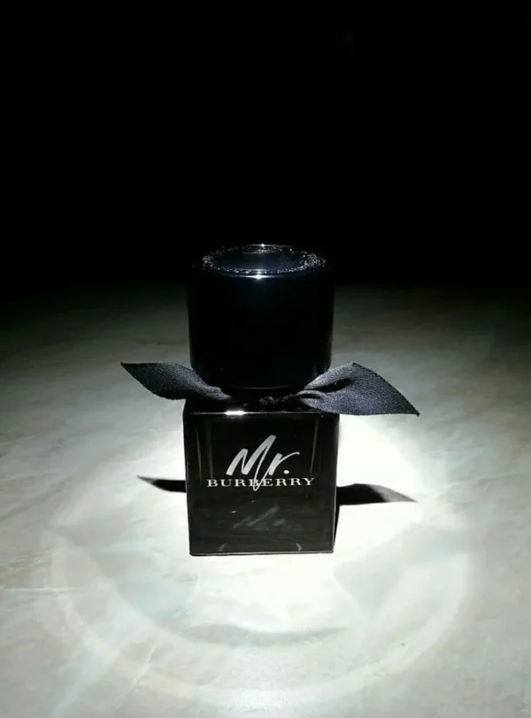 عطر ادکلن باربری مستر باربری ادو پرفیوم | Burberry Mr. Burberry Eau de Parfum