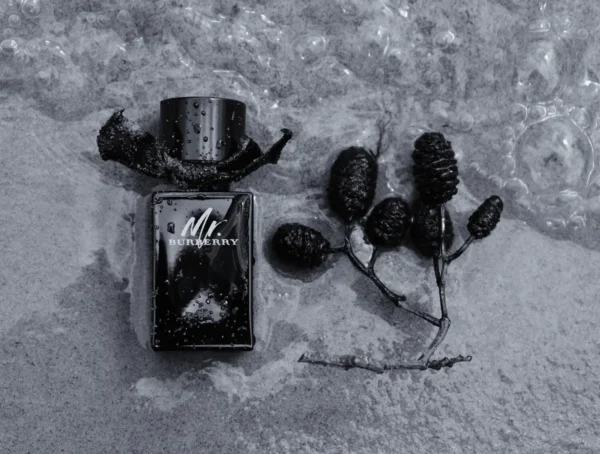 عطر ادکلن باربری مستر باربری ادو پرفیوم | Burberry Mr. Burberry Eau de Parfum
