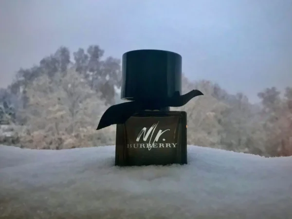 عطر ادکلن باربری مستر باربری ادو پرفیوم | Burberry Mr. Burberry Eau de Parfum