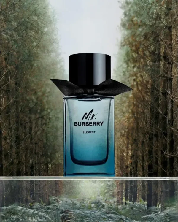 عطر ادکلن باربری مستر باربری المنت | Burberry Mr. Burberry Element