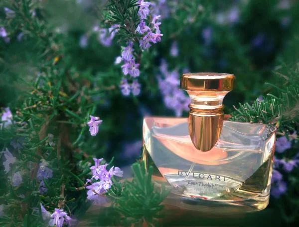عطر ادکلن بولگاری پور فم | Bvlgari Bvlgari Pour Femme
