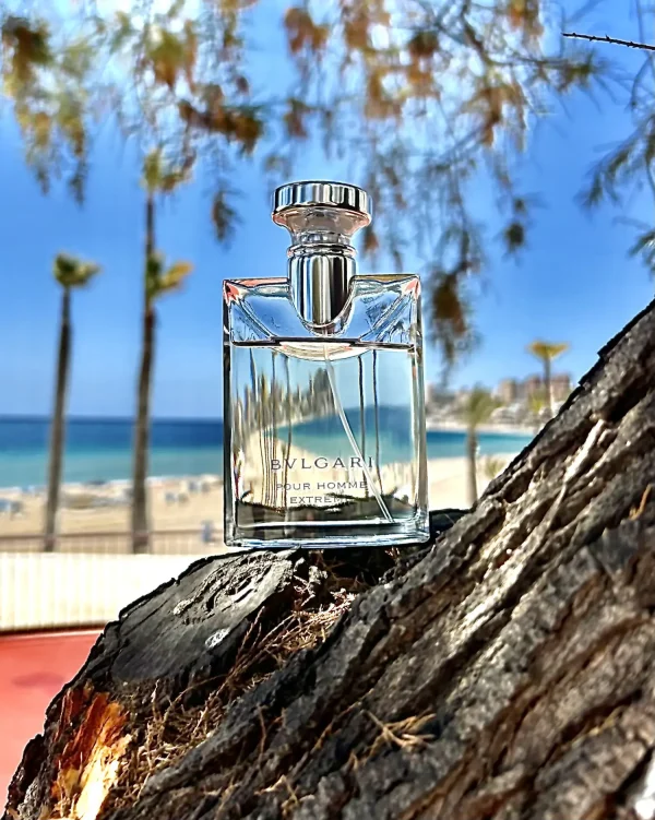 عطر ادکلن بولگاری پور هوم اکستریم | Bvlgari Bvlgari Pour Homme Extreme