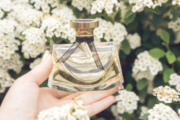 عطر ادکلن بولگاری مون جاسمین نویر | Bvlgari Mon Jasmin Noir
