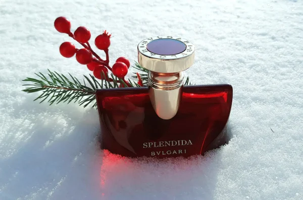 عطر ادکلن بولگاری اسپلندیدا مگنولیا سنشوال | Bvlgari Splendida Magnolia Sensuel