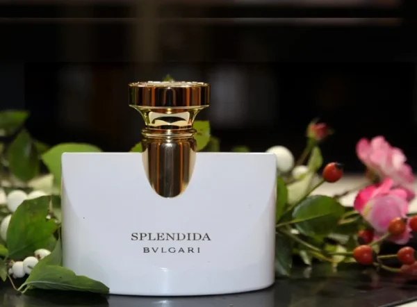 عطر ادکلن بولگاری اسپلندیدا پچولی تنتیشن | Bvlgari Splendida Patchouli Tentation