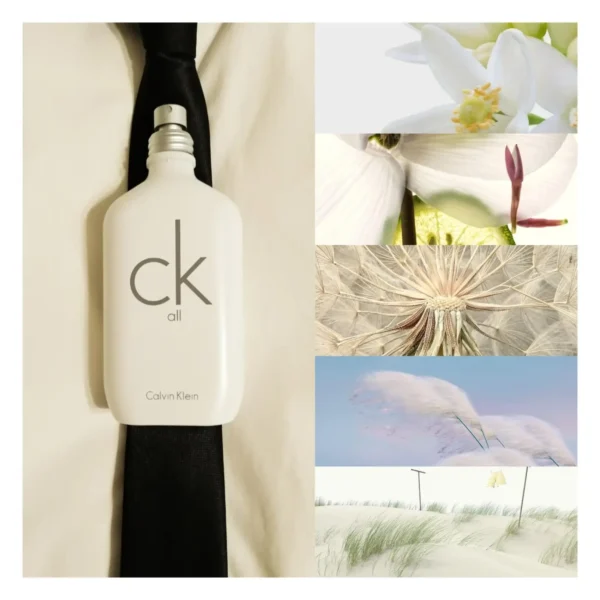عطر ادکلن کلوین کلین(سی کی) سی کی آل | Calvin Klein CK All