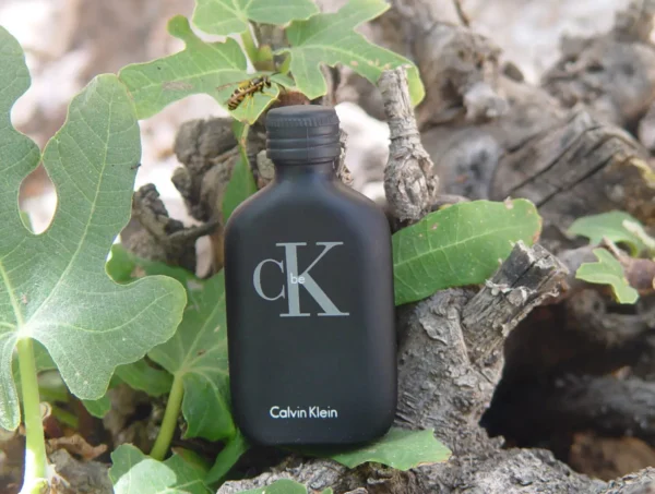 عطر ادکلن کلوین کلین(سی کی) بی | Calvin Klein CK Be