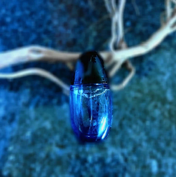 عطر ادکلن کلوین کلین(سی کی) آبسشن نایت زنانه | Calvin Klein Obsession Night Woman