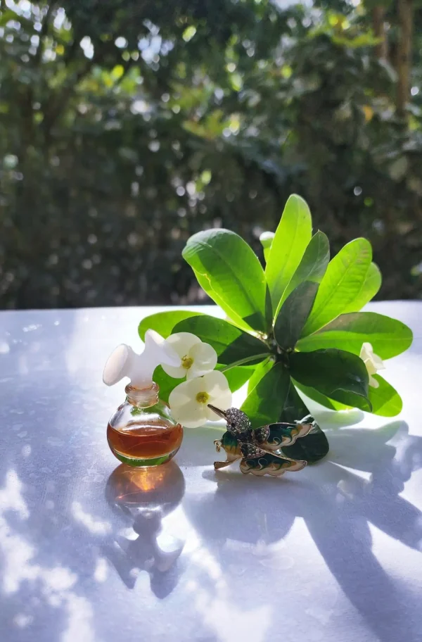 عطر ادکلن کلوهه ادو پرفیوم | Chloé Chloé Eau de Parfum