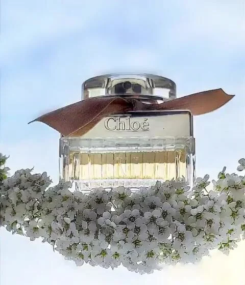 عطر ادکلن کلوهه ادو پرفیوم | Chloé Chloé Eau de Parfum