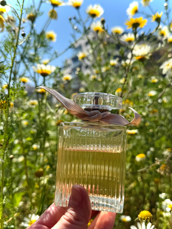 عطر ادکلن کلوهه ادو پرفیوم | Chloé Chloé Eau de Parfum