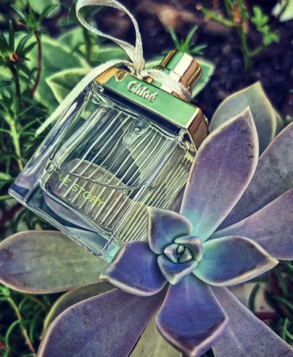 عطر ادکلن کلوهه نارسیس | Chloé Narcisse Chloé