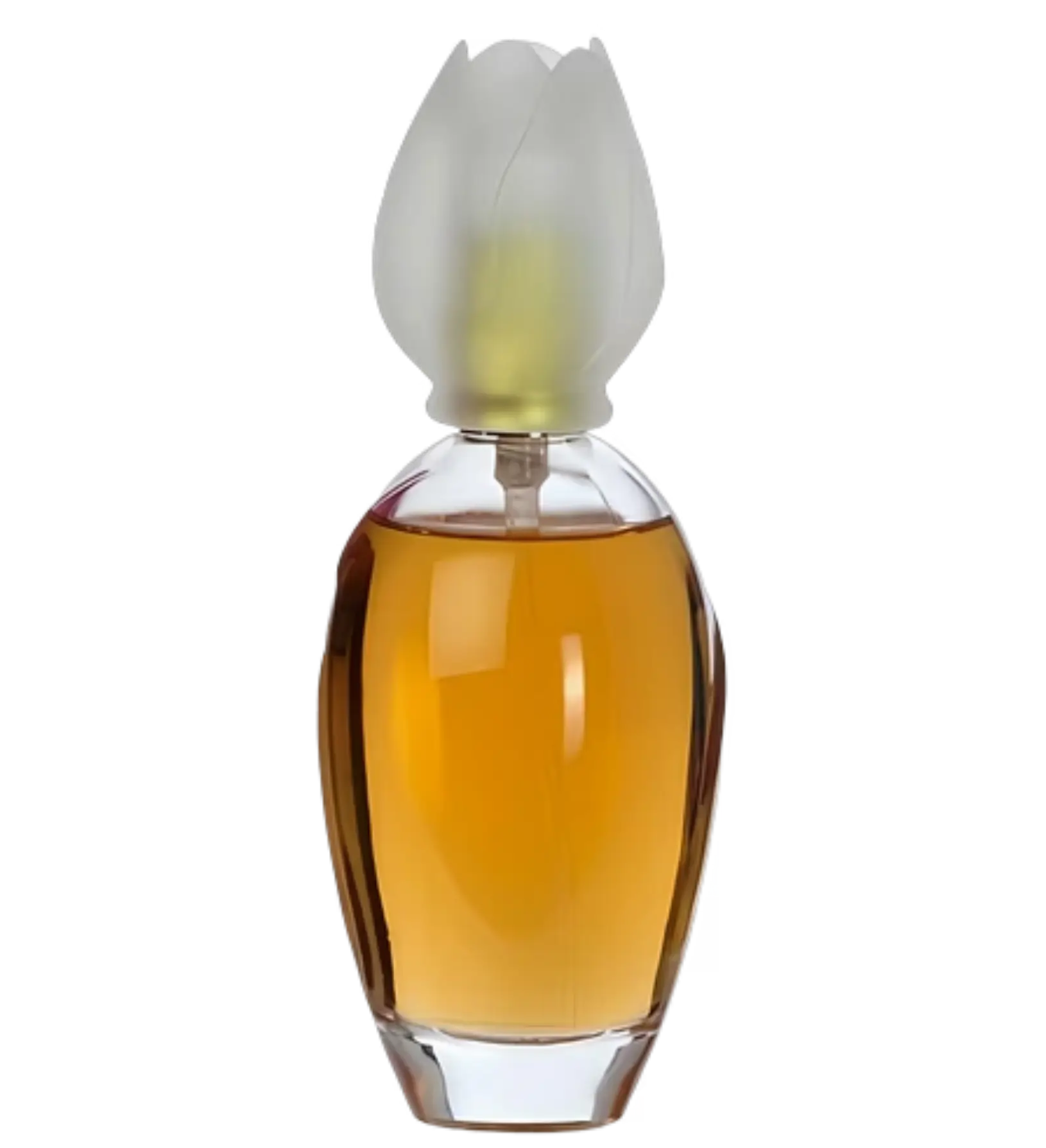 عطر ادکلن کلوهه نارسیس | Chloé Narcisse Chloé