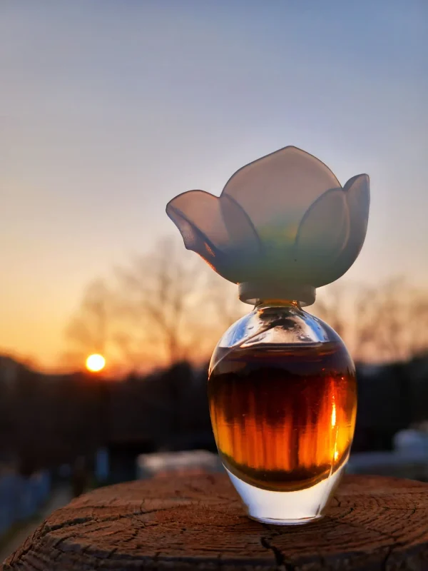 عطر ادکلن کلوهه نارسیس | Chloé Narcisse Chloé