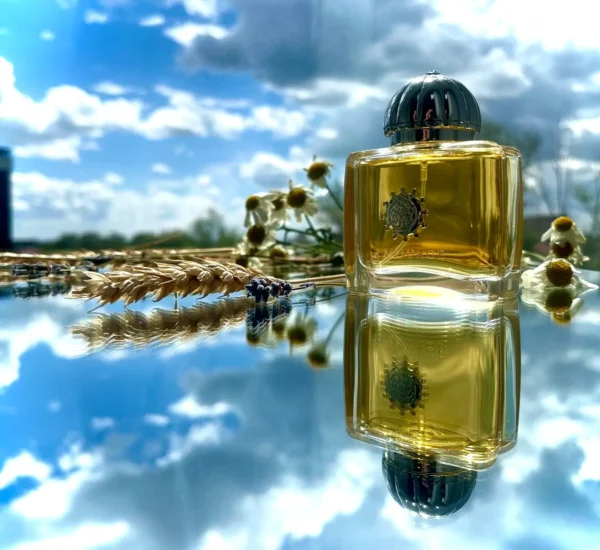 قیمت نداره / عطر ادکلن آمواج سیل زنانه | Amouage Ciel Woman