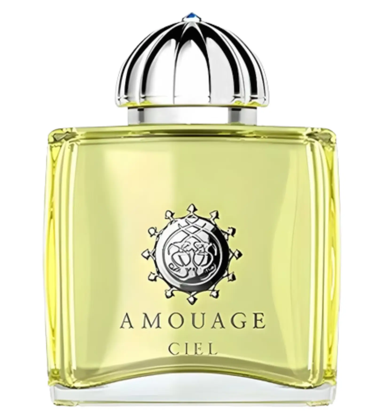قیمت نداره / عطر ادکلن آمواج سیل زنانه | Amouage Ciel Woman