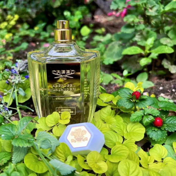 عطر ادکلن کرید آبردین لاوندر | Creed Acqua Originale Aberdeen Lavander