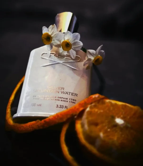 عطر ادکلن کرید سیلور مانتین واتر | Creed Silver Mountain Water