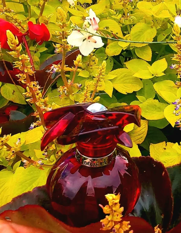 عطر ادکلن کارتیر دلیشز | Cartier Delices De Cartier Eau de Parfum