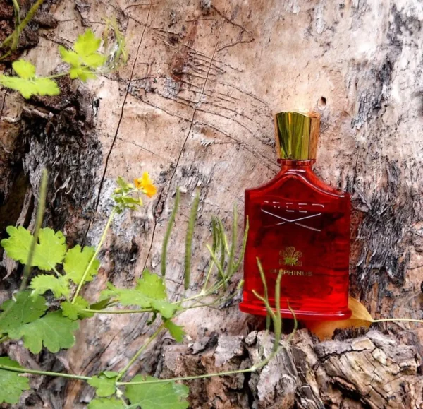 عطر ادکلن کرید دلفینوس | Creed Delphinus