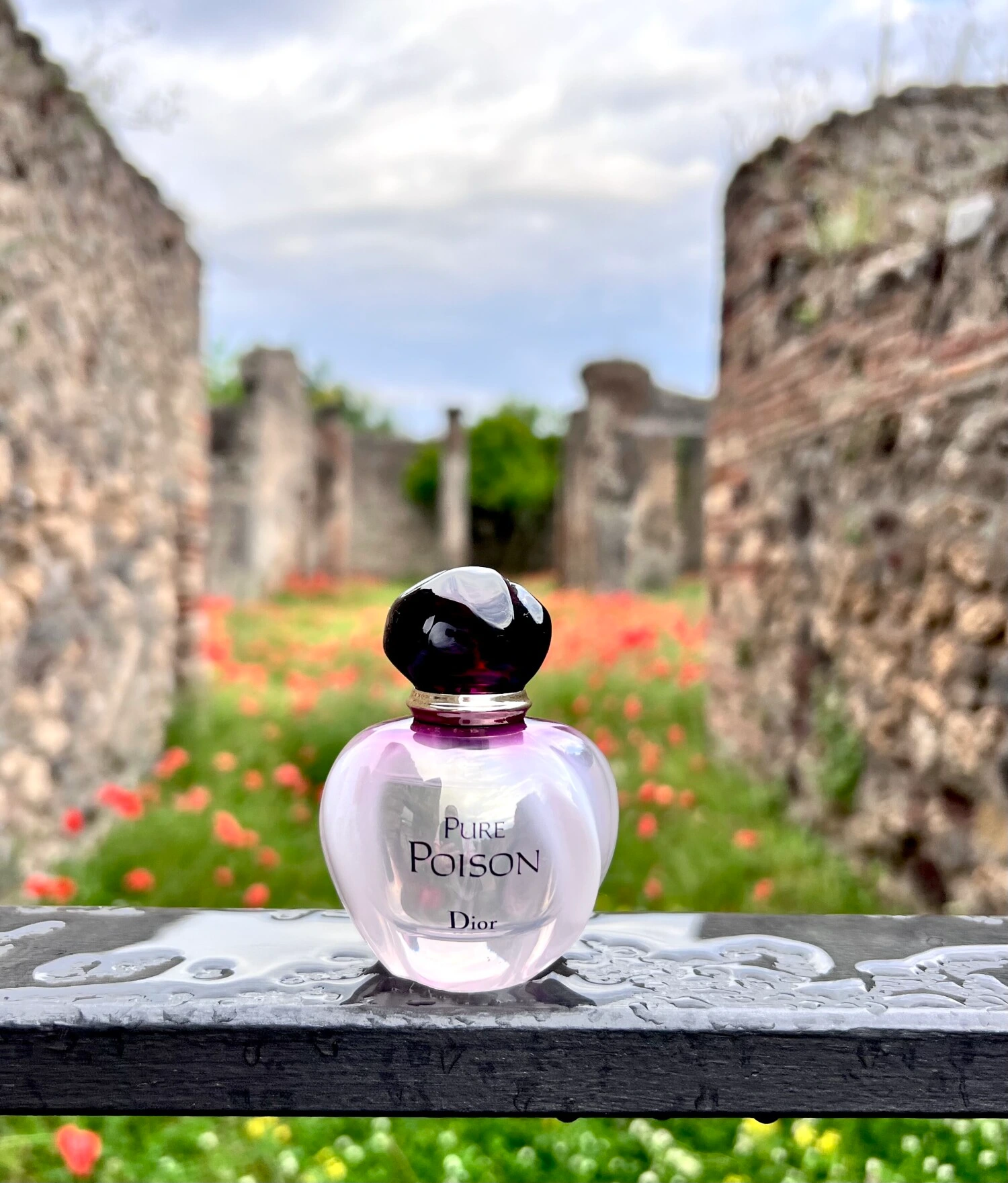 عطر ادکلن دیور پیور پویزن | Dior Pure Poison