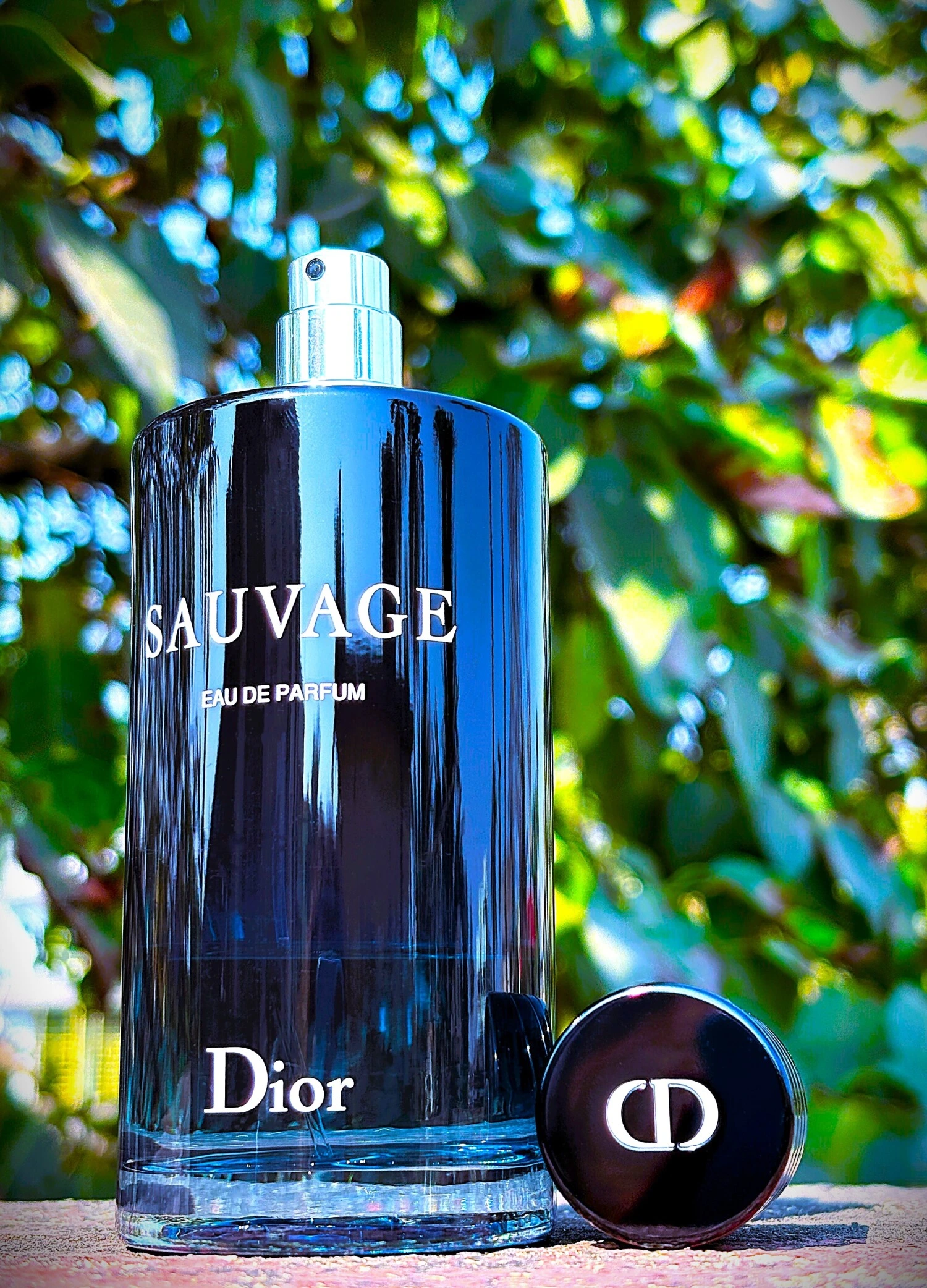 عطر ادکلن دیور ساواج ادو پرفیوم | Dior Sauvage Eau de Parfum