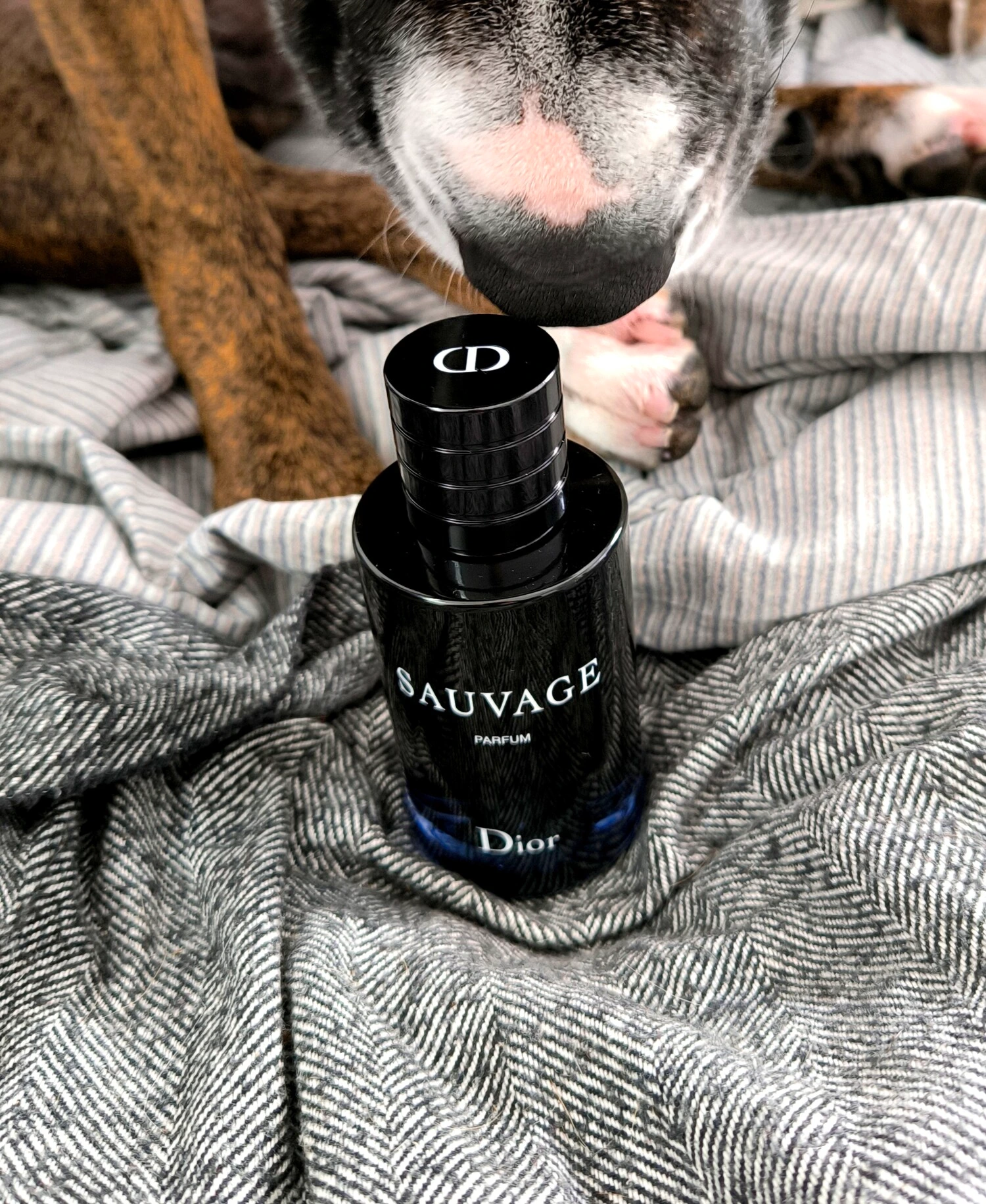 عطر ادکلن دیور ساواج پارفوم | Dior Sauvage Parfum 200ml