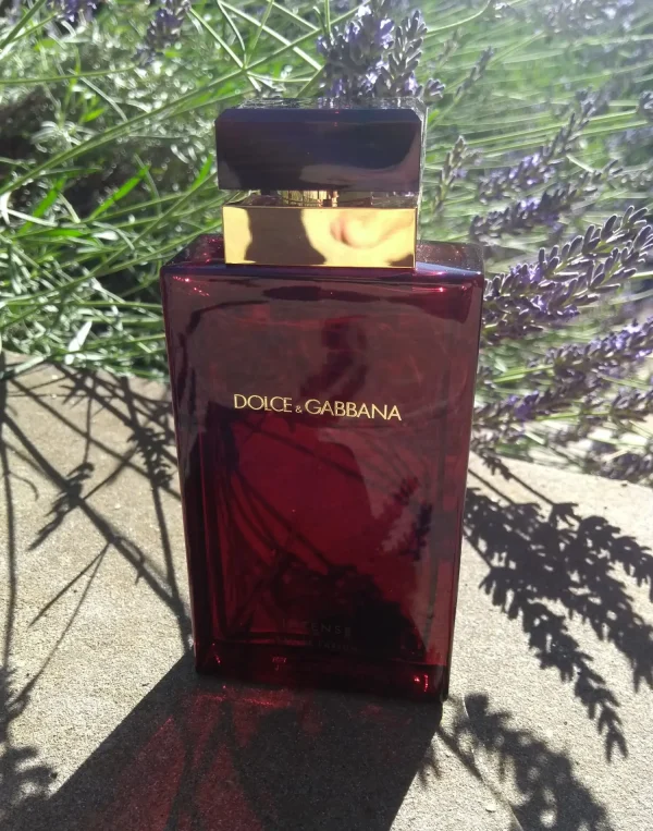 عطر ادکلن دی اند جی دلچه گابانا پورفم اینتنس | Dolce Gabbana Pour Femme Intense