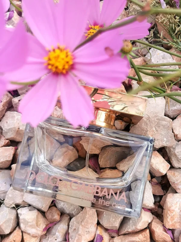 عطر ادکلن دی اند جی دلچه گابانا رز د وان | Dolce Gabbana Rose The One