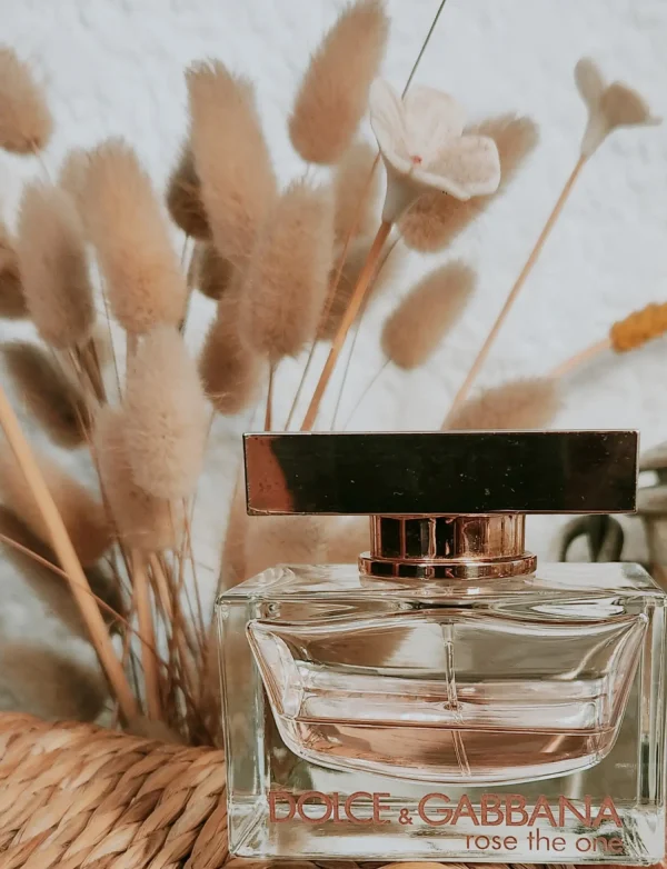 عطر ادکلن دی اند جی دلچه گابانا رز د وان | Dolce Gabbana Rose The One
