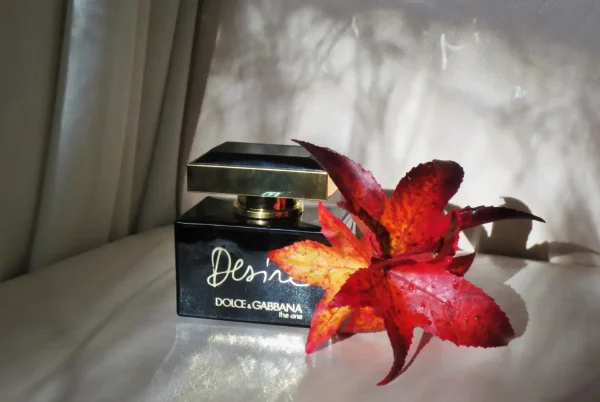 عطر ادکلن دی اند جی دلچه گابانا د وان دیزایر | Dolce Gabbana The One Desire