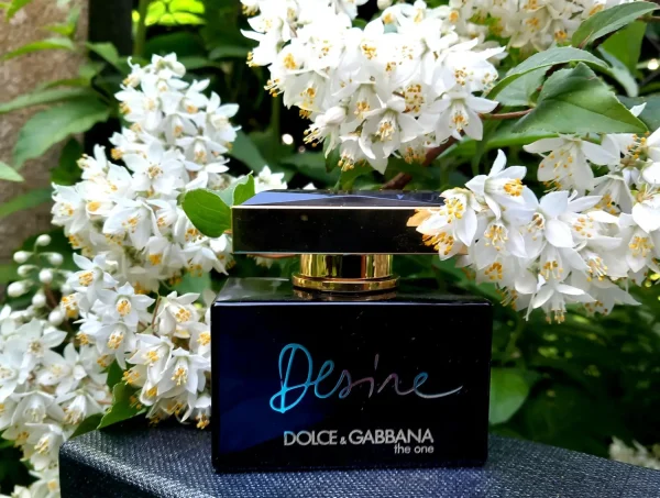 عطر ادکلن دی اند جی دلچه گابانا د وان دیزایر | Dolce Gabbana The One Desire