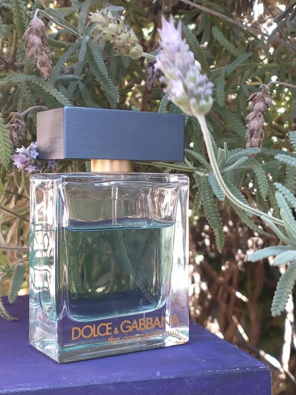 عطر ادکلن دی اند جی دلچه گابانا د وان جنتلمن | Dolce Gabbana The One Gentleman
