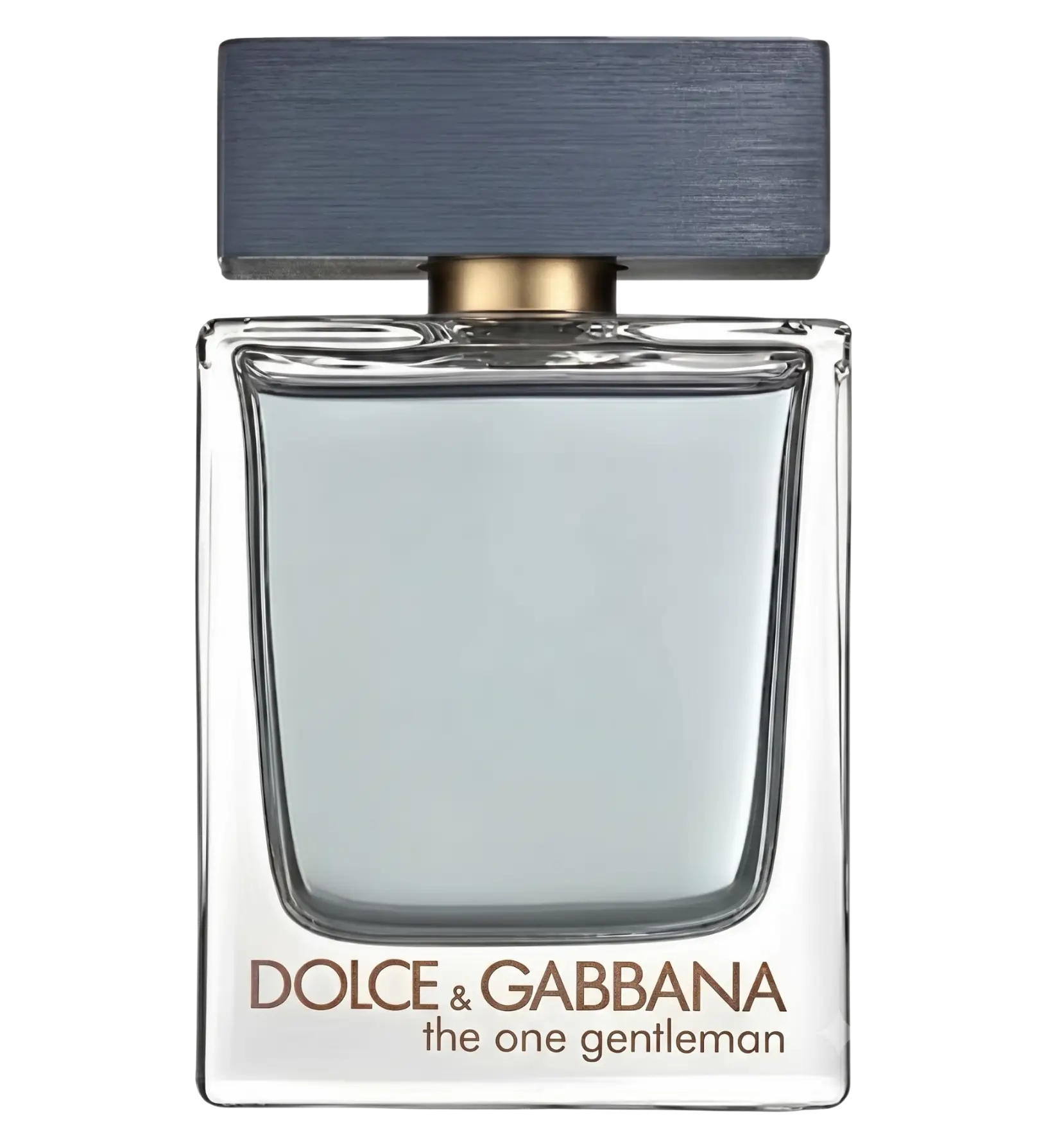 عطر ادکلن دی اند جی دلچه گابانا د وان جنتلمن | Dolce Gabbana The One Gentleman