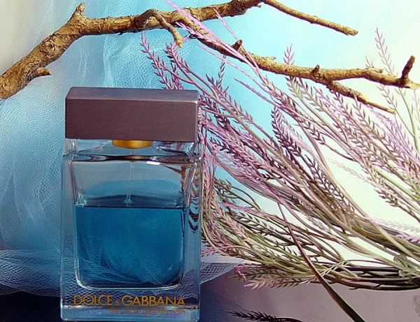 عطر ادکلن دی اند جی دلچه گابانا د وان جنتلمن | Dolce Gabbana The One Gentleman