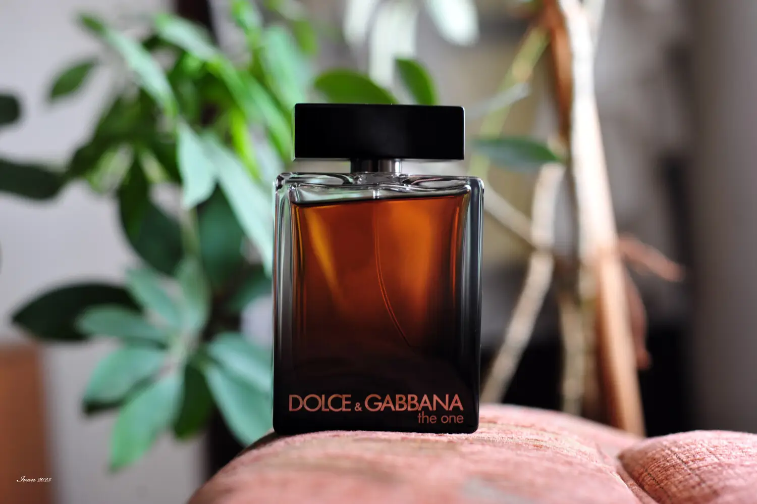عطر ادکلن دی اند جی دلچه گابانا د وان مردانه | Dolce Gabbana The One for Men EDP