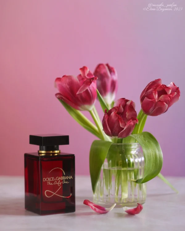 عطر ادکلن دلچه گابانا د اونلی وان 2 | Dolce Gabbana The Only One 2