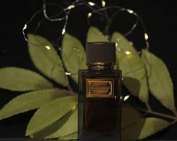 عطر ادکلن دلچه گابانا ولوت دیزرت عود | Dolce Gabbana Velvet Desert Oud