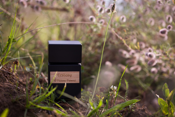 عطر ادکلن تیزیانا ترنزی اکستاسی | Tiziana Terenzi Ecstasy