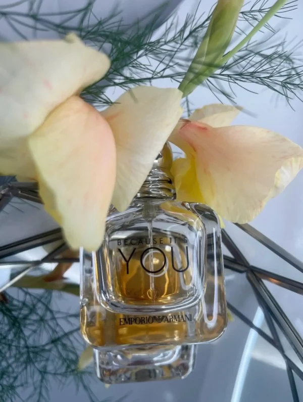 عطر ادکلن جورجیو آرمانی امپریو بیکاز ایتس یو | Giorgio Armani Emporio Armani Because It s You