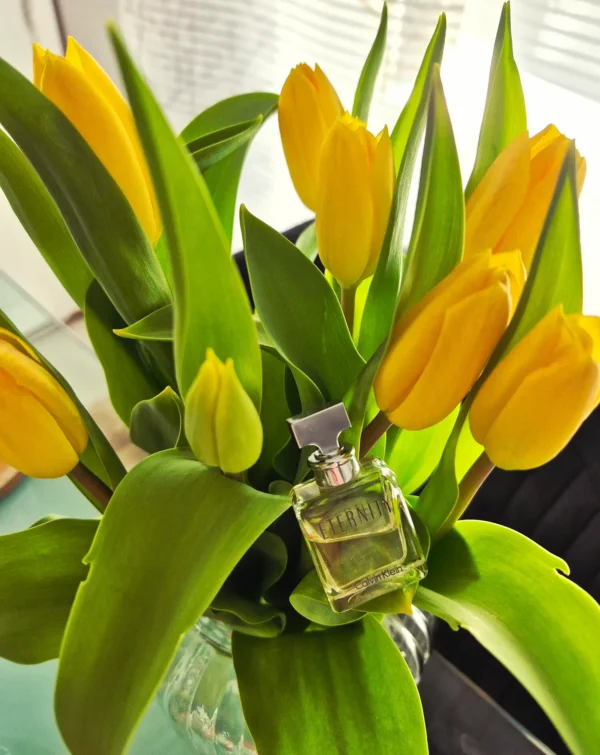 عطر ادکلن کلوین کلین(سی کی) اترنیتی زنانه | Calvin Klein Eternity