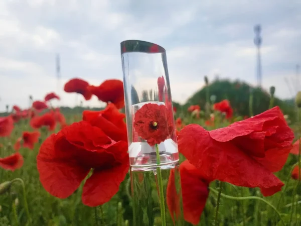 عطر ادکلن کنزو فلاور | Kenzo Flower Kenzo